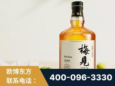 呼和浩特-梅见青梅酒